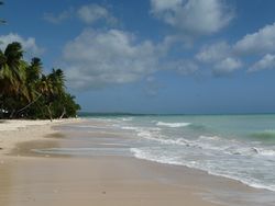 Bild von einem haitianischen Strand